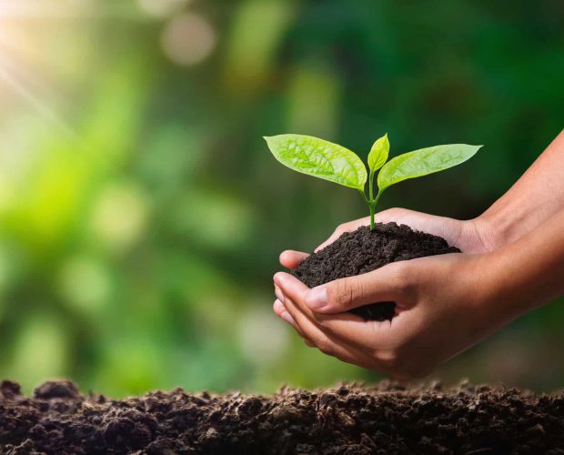 sustainable