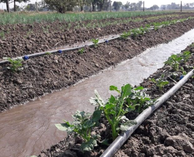 water conservation